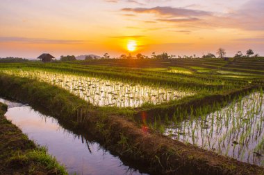 günbatımı an gökyüzü su yansıma rengi