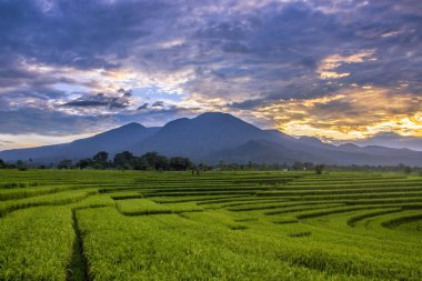 gün doğumu zaman Asya 'da Montain aralığı an ile pirinç tarlalarında sabah