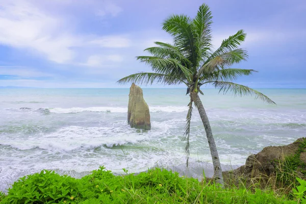 Paraíso Norte Bengkulu Com Palmeira Momento Viagem Pelo Mar — Fotografia de Stock