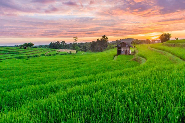 beauty landscape at paddy fields in asia with color full sky and green paddy fields