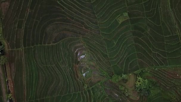 航空写真素晴らしいパノラマとインドネシアの自然の美しさ — ストック動画