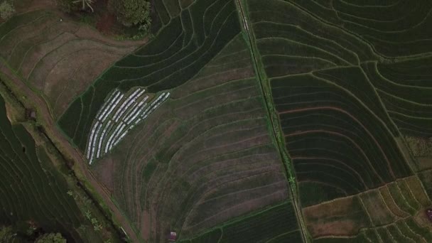 Природная Красота Индонезии Воздушными Фотографиями Абстрактными — стоковое видео