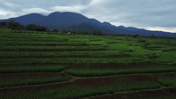 Beauté Naturelle Indonésie Avec Des Photos Aériennes Nuages Étonnants — Video