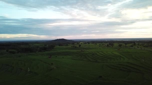 Belleza Natural Puesta Sol Bengkulu Norte Provincia Bengkulu Isla Sumatra — Vídeos de Stock