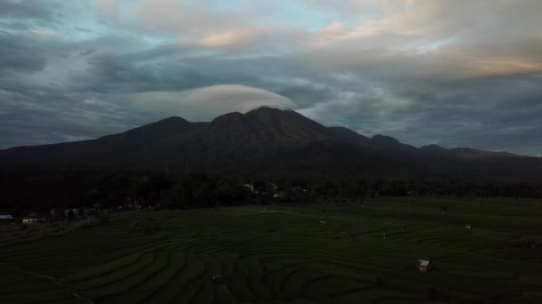 スマトラ島インドネシアアジアのベンクル州北部の素晴らしい水田で 山脈がケムに入っている — ストック動画