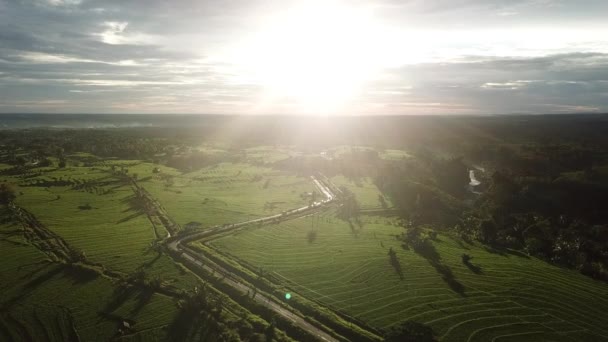 Den Naturliga Solljus Skönheten Flygfotografering Ovanför Bengkulu Risfält Indonesien — Stockvideo