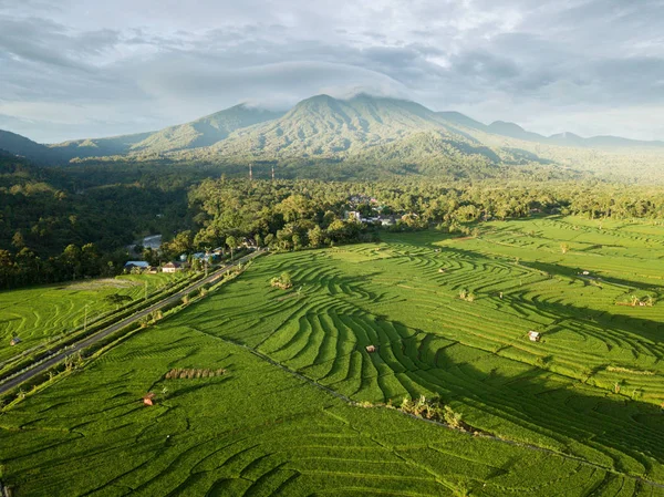 Beauté Naturelle Dans Bengkulu Nord Province Bengkulu Sur Île Sumatra — Photo