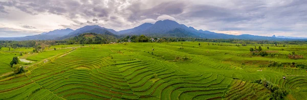 Belleza Natural Bengkulu Norte Provincia Bengkulu Isla Sumatra Indonesia Asia — Foto de Stock