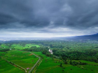 zaman sabah endonezya dağ aralığında asya ormanı