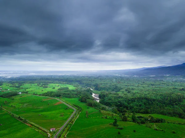 zaman sabah endonezya dağ aralığında asya ormanı