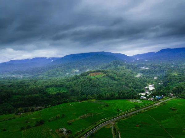 kuzey bengkulu inanılmaz orman çeltik tarlalarında sisli sabah ile dağ aralığı endonezya