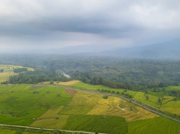 Légi Fotó Szépség Táj Rizsföldek Észak Bengkulu Indonézia Felhős Pillanat — Stock Fotó