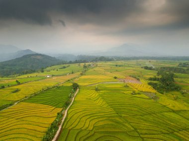 bulutlu bir dağ asya altında bulutlar çalıştırmak zaman havadan görünüm orman pirinç tarlaları