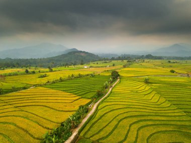 onlar bulutlu bir dağ Asya altında bulutlar çalıştırmak zaman pirinç tarlaları