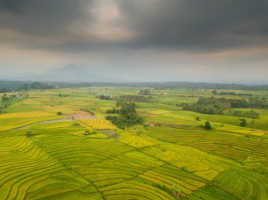Endonezya bir milyon doğal güzelliği ile havadan görünümü, dağ sırası ve dönemde kuzey bengkulu, Asya döneminde yeşil çeltik alanları