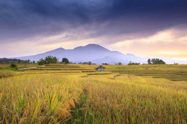 bulutlu bir dağ asya altında bulutlar çalıştırmak zaman havadan görünüm orman pirinç tarlaları