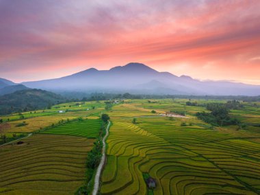bulutlu bir dağ asya altında bulutlar çalıştırmak zaman havadan görünüm orman pirinç tarlaları