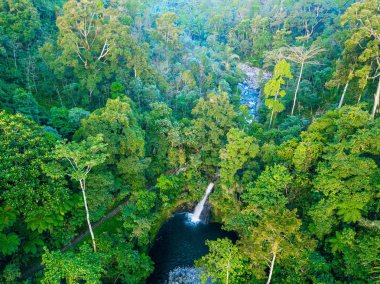 bulutlu bir dağ asya altında bulutlar çalıştırmak zaman havadan görünüm orman pirinç tarlaları