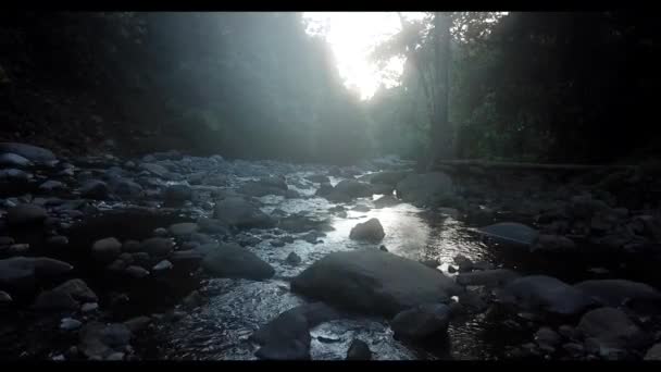 Повітряний Вид Лісових Рисових Полів Коли Вони Бігають Хмарах Під — стокове відео