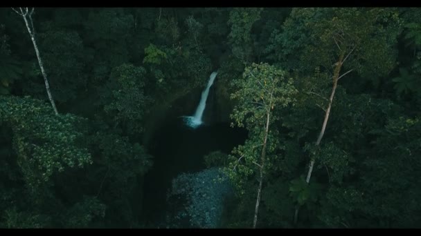 Aerial Visa Skog Risfält När Körs Molnen Molnigt Berg Asien — Stockvideo