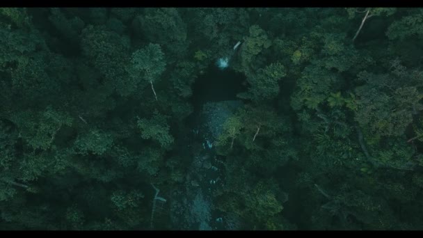 彼らは曇った山のアジアの下で雲の中を走るとき 空中ビュー森林水田 — ストック動画