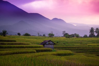 bulutlu bir dağ asya altında bulutlar çalıştırmak zaman havadan görünüm orman pirinç tarlaları