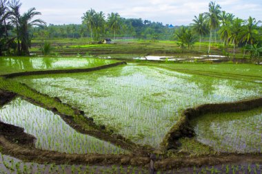 Günbatımı anı ve inanılmaz gökyüzü ile Endonezya 'nın sumatera sıradağları