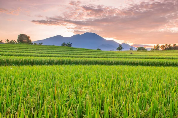 Beauty Light Sun Morning Sunrise North Bengkulu Indonesia — Stock Photo, Image