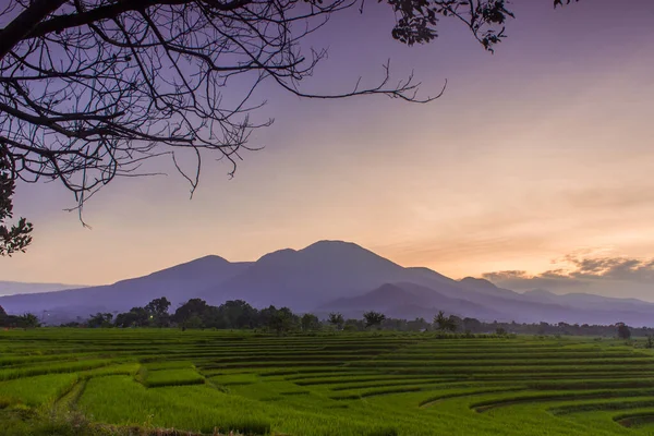 Enmarcando Cordillera Por Mañana Los Campos Arroz —  Fotos de Stock