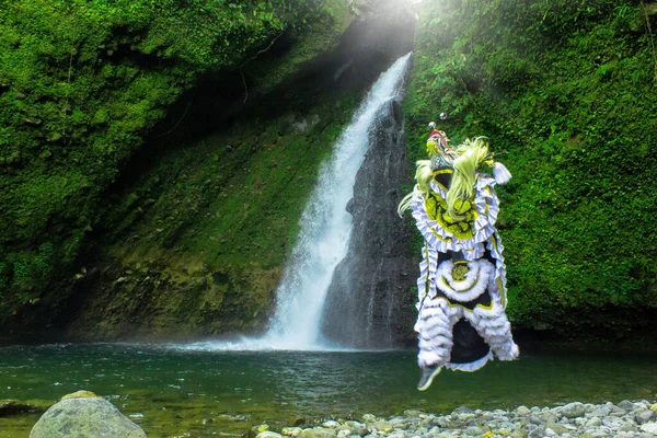 Toller Barongtanz Mit Licht Wasserfall — Stockfoto