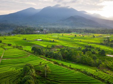 Beautiful morning view indonesia panorama landscape paddy fields with beauty color and sky natural light