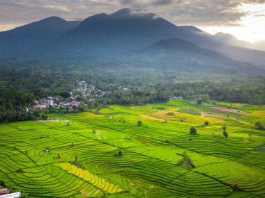 Beautiful morning view indonesia panorama landscape paddy fields with beauty color and sky natural light