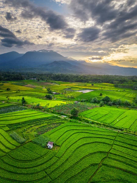 Beautiful morning view indonesia panorama landscape paddy fields with beauty color and sky natural light