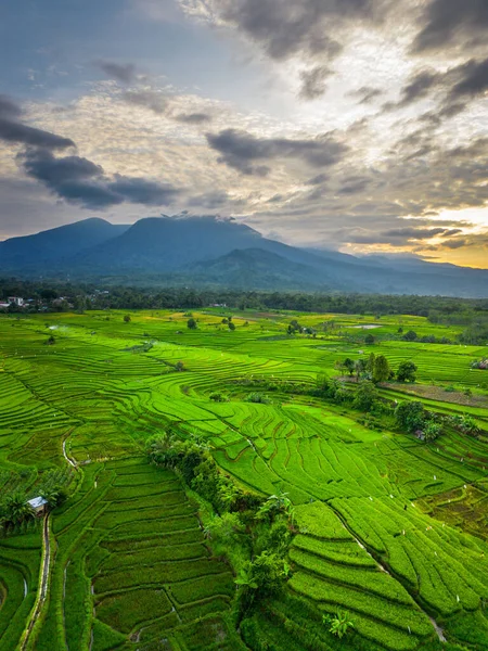 Beautiful morning view indonesia panorama landscape paddy fields with beauty color and sky natural light