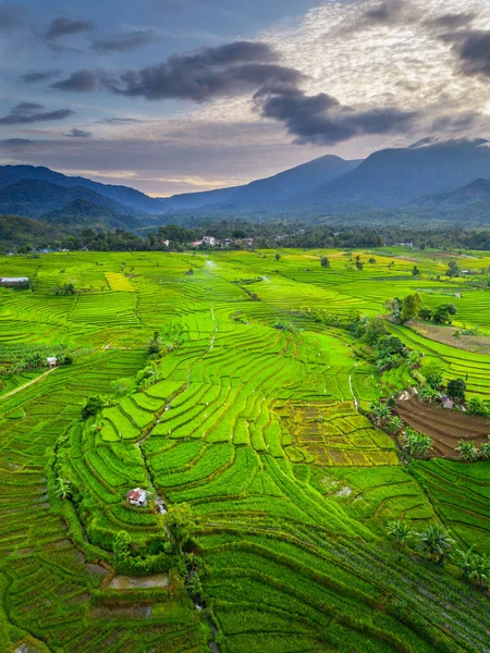 Beautiful morning view indonesia panorama landscape paddy fields with beauty color and sky natural light