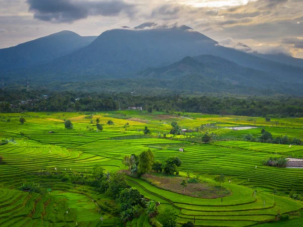 Beautiful morning view indonesia panorama landscape paddy fields with beauty color and sky natural light