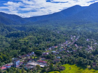 Beautiful morning view indonesia panorama landscape paddy fields with beauty color and sky natural light