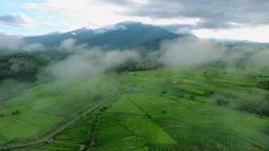 Beautiful morning view indonesia panorama landscape paddy fields with beauty color and sky natural light