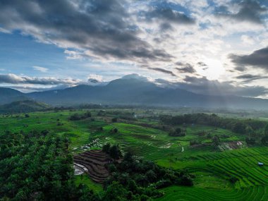 Beautiful morning view indonesia panorama landscape paddy fields with beauty color and sky natural light