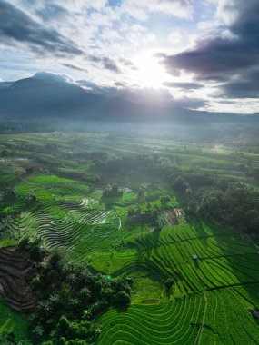 Beautiful morning view indonesia panorama landscape paddy fields with beauty color and sky natural light