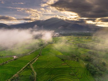 Beautiful morning view indonesia panorama landscape paddy fields with beauty color and sky natural light