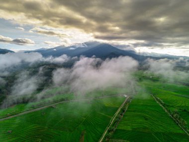 Beautiful morning view indonesia panorama landscape paddy fields with beauty color and sky natural light