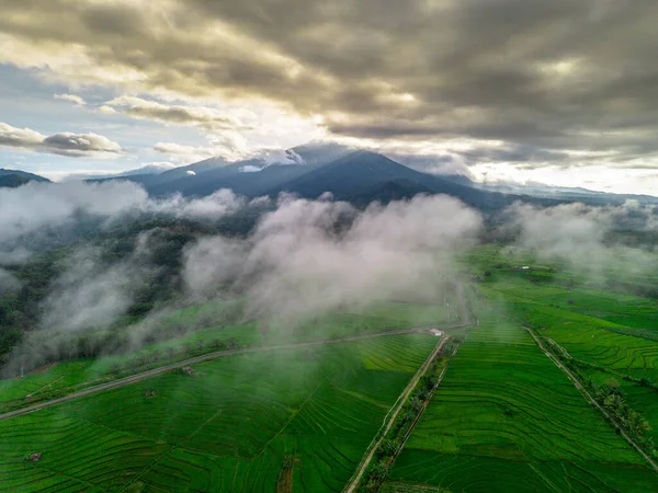 Beautiful morning view indonesia panorama landscape paddy fields with beauty color and sky natural light