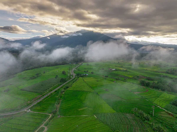 Beautiful morning view indonesia panorama landscape paddy fields with beauty color and sky natural light