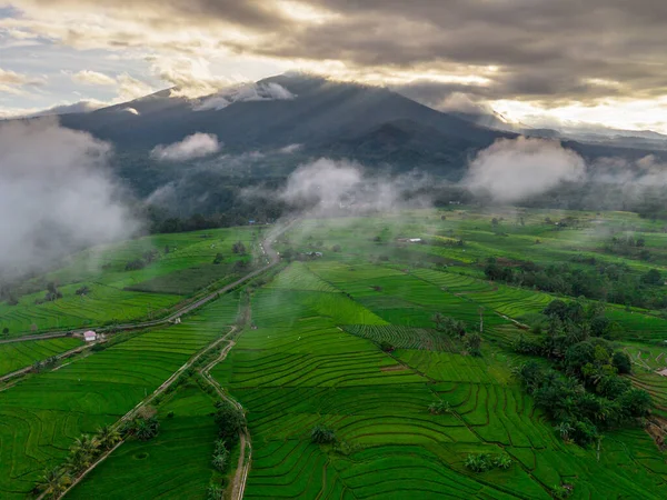 Beautiful morning view indonesia panorama landscape paddy fields with beauty color and sky natural light