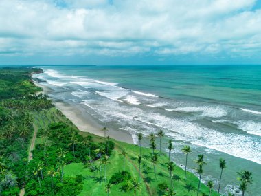 Beautiful morning view indonesia Panorama Landscape paddy fields with beauty color and sky natural light