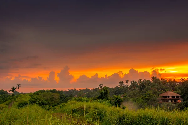 Indonézia Esőerdők House Naplementében Szép Felhők Láthatáron — Stock Fotó