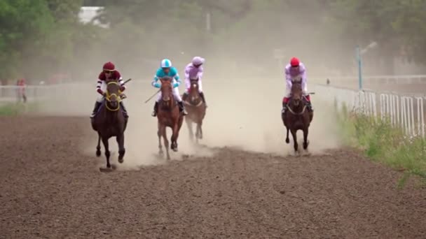 Corrida Cavalos Pista Corridas Quatro Cavaleiros Toda Velocidade Movimento Lento — Vídeo de Stock