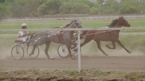 Ucrania Odesa Julio 2018 Arnés Carreras Hipódromo Dos Jinetes Compiten — Vídeo de stock