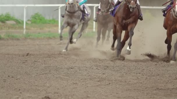 Course Chevaux Sur Hippodrome Groupe Coureurs Passe Courbe Mouvement Lent — Video